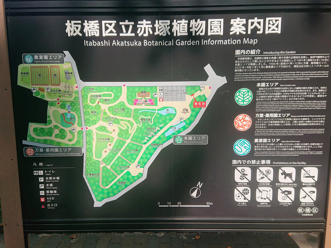 Akatsuka Botanical Gardens-板桥区必去景点