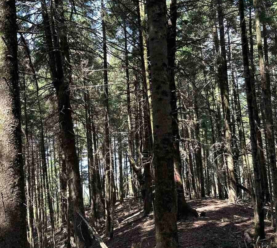 Monopáti Agías Paraskevís-null必去景点