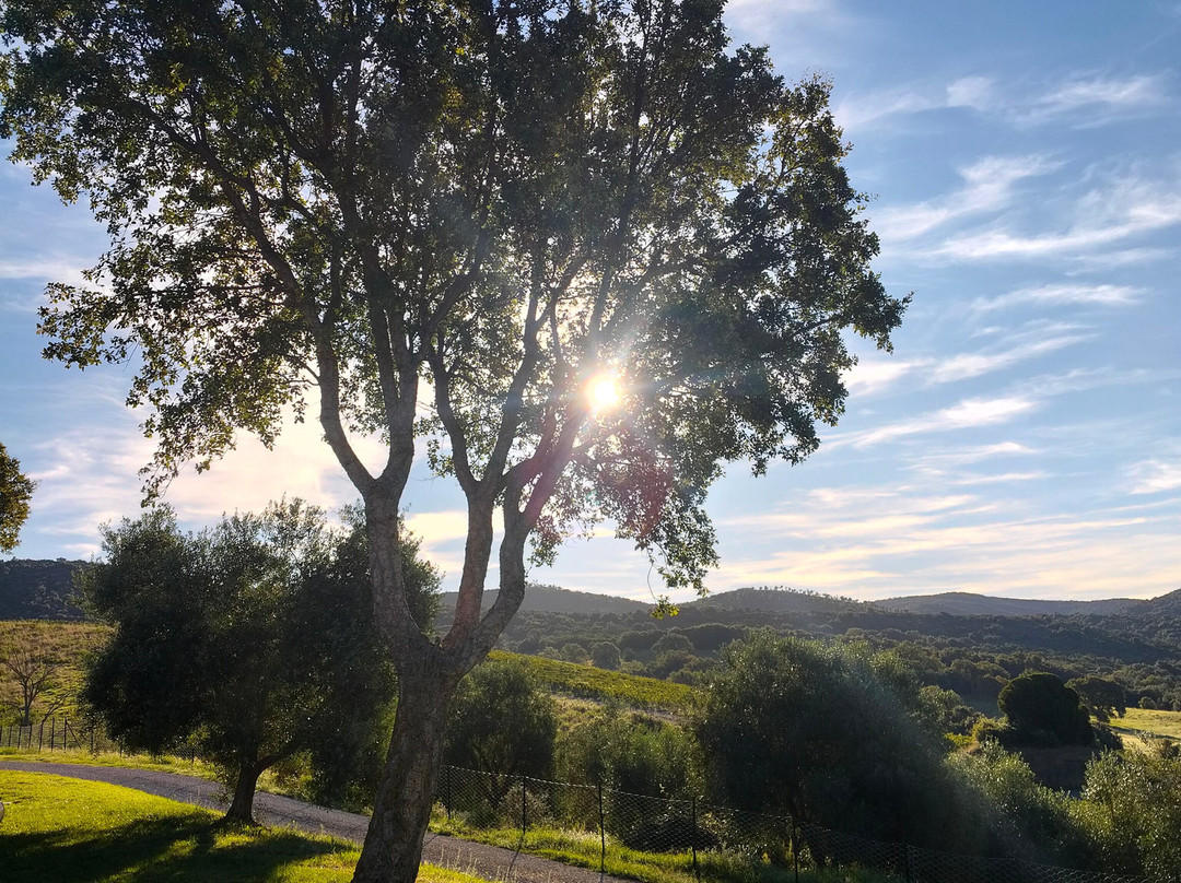 Agriturismo Lo Scalandrino主图