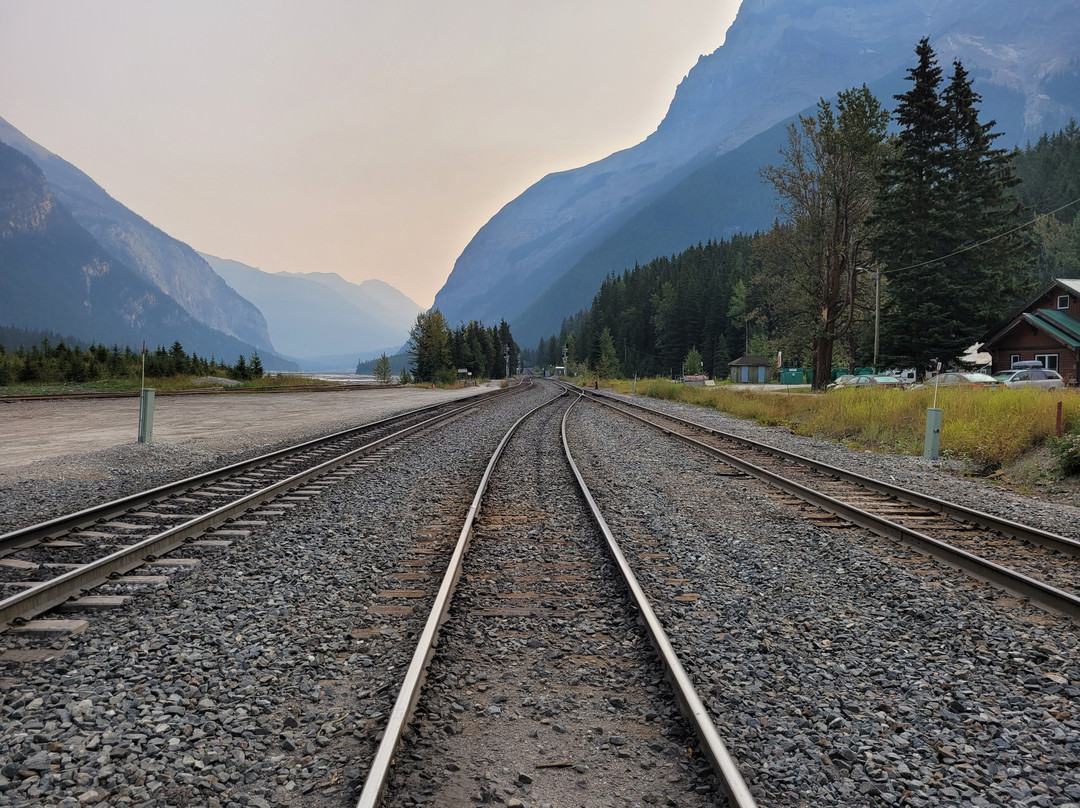 Truffle Pigs Lodge主图