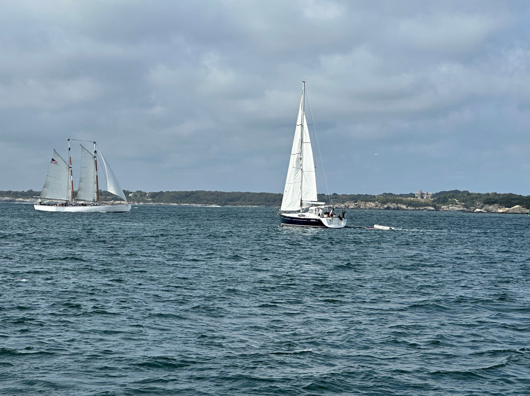 Sightsailing of Newport-纽波特必去景点