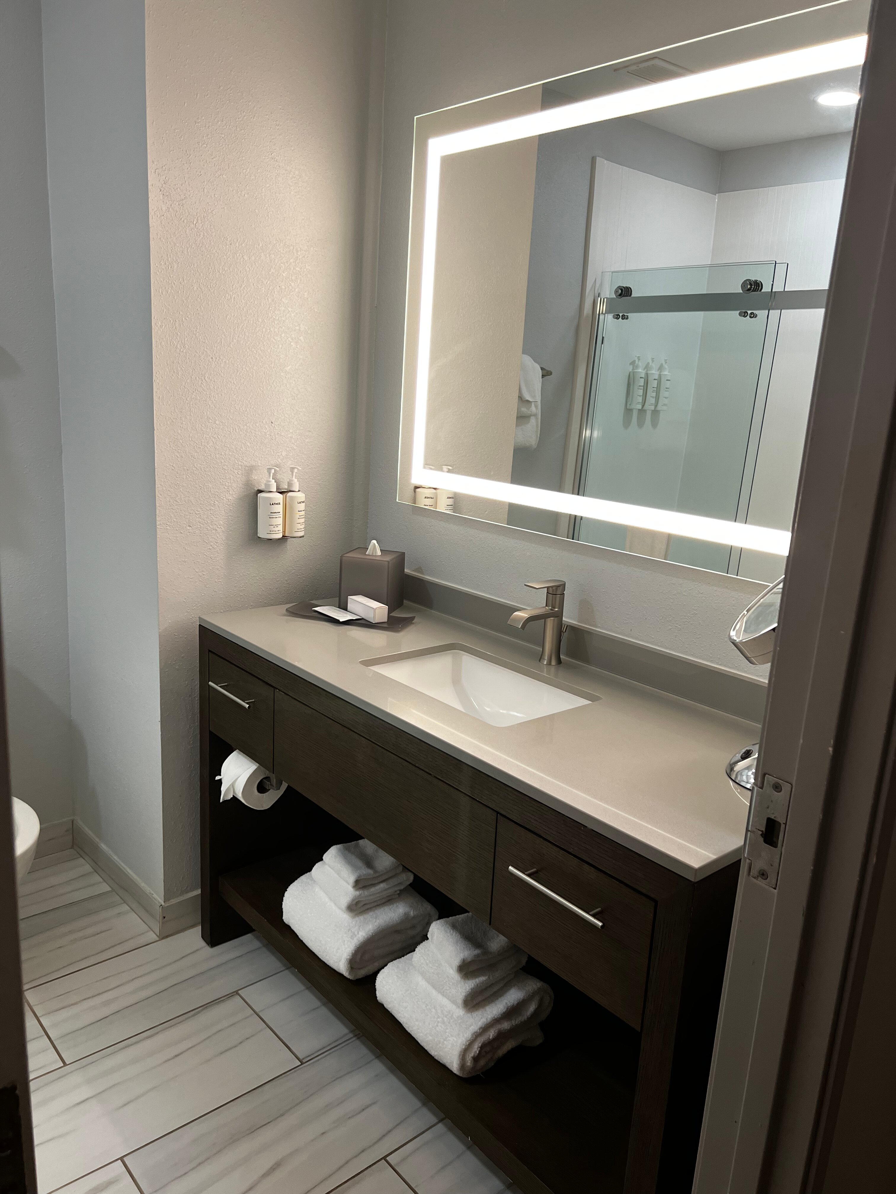 The Bluff Savannah Historic District, Tapestry by Hilton-浴室