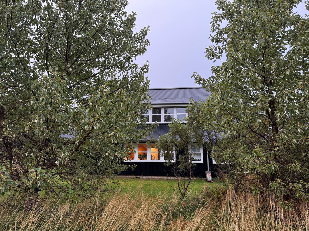 Guesthouse Milli Vina主图