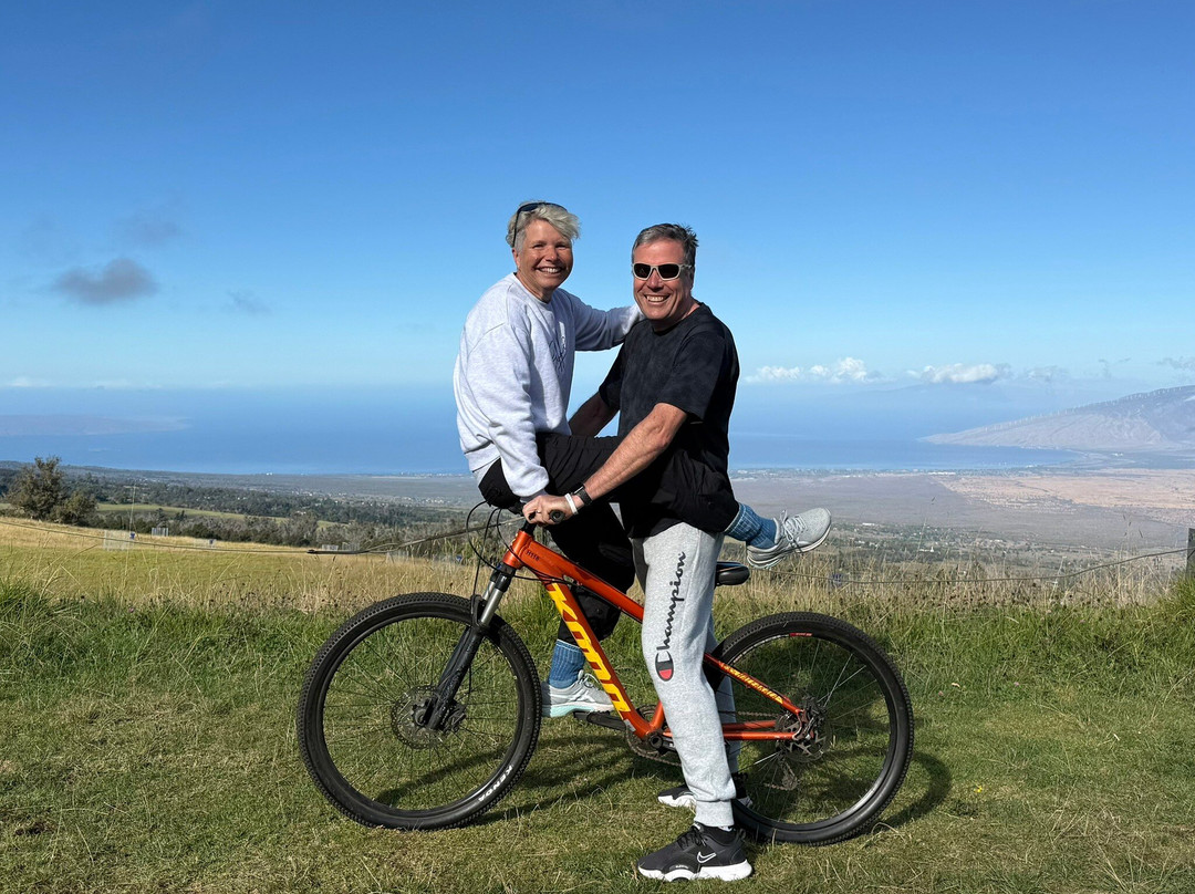 Cruiser Phil's-卡胡卢伊必去景点