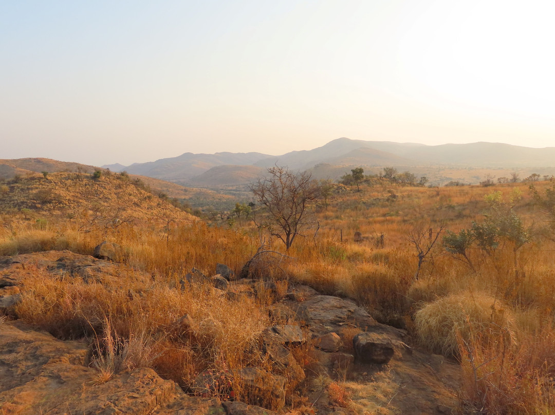 Pilanesberg National Park-太阳城必去景点