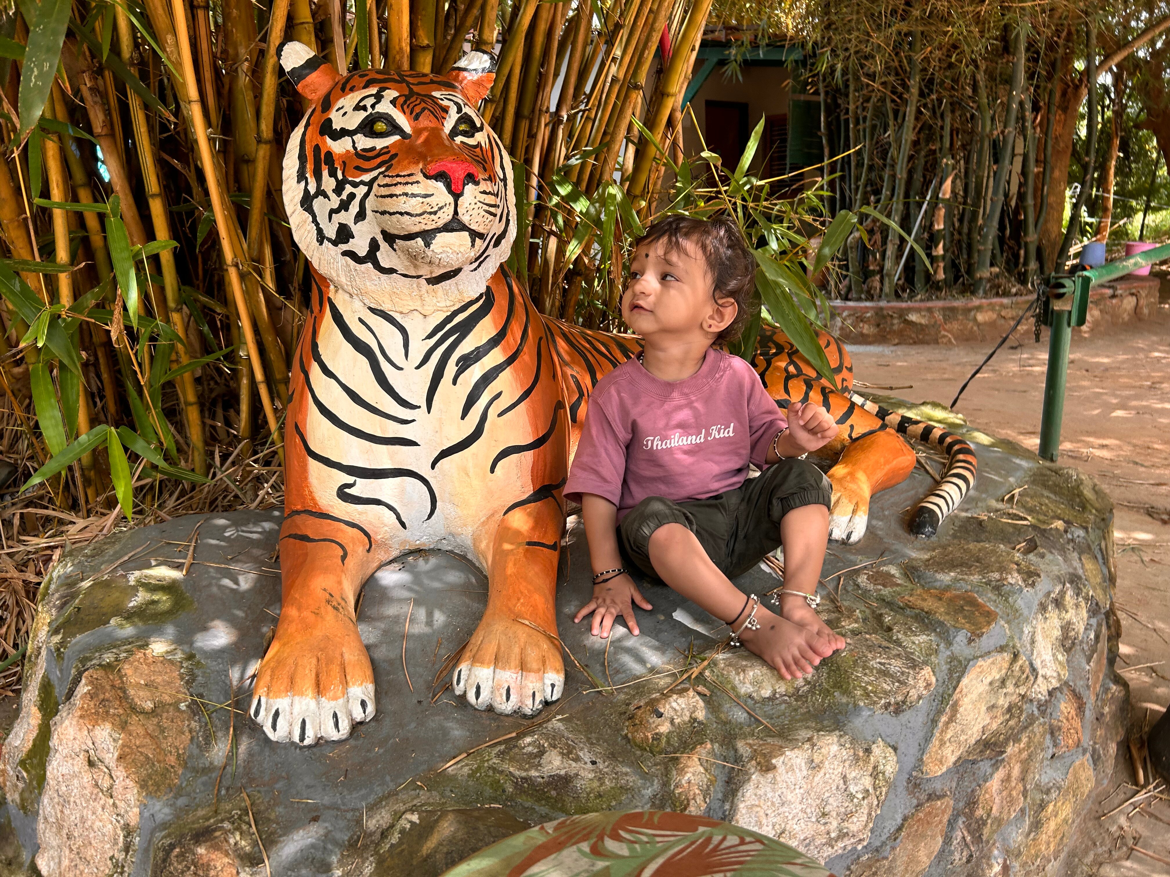 Mc Resort Bandipura-官方