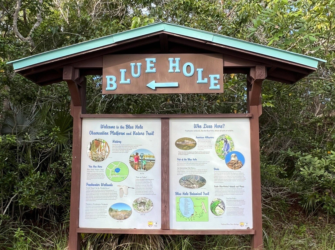 Blue Hole-Big Pine Key必去景点
