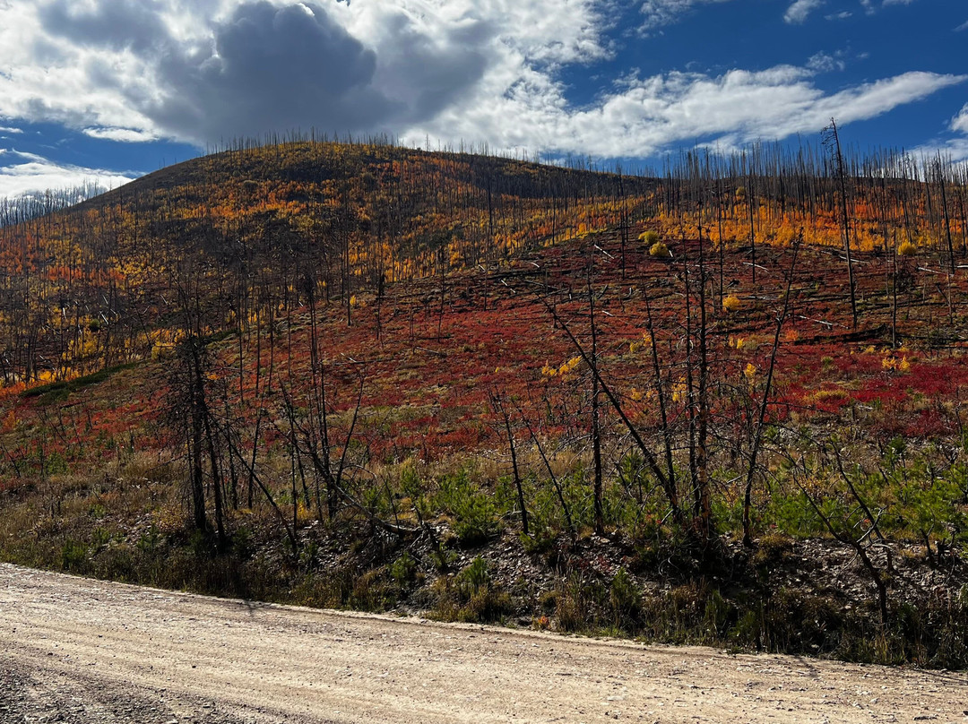 On The Trail Rentals-格兰德湖必去景点