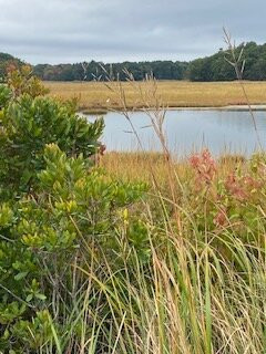 Scarboro Marshes-斯卡伯勒必去景点