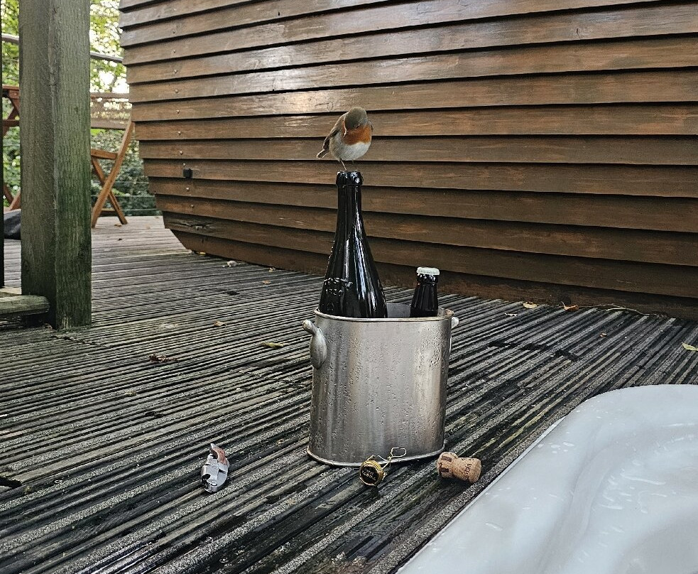 RiverBeds Luxury Wee Lodges主图