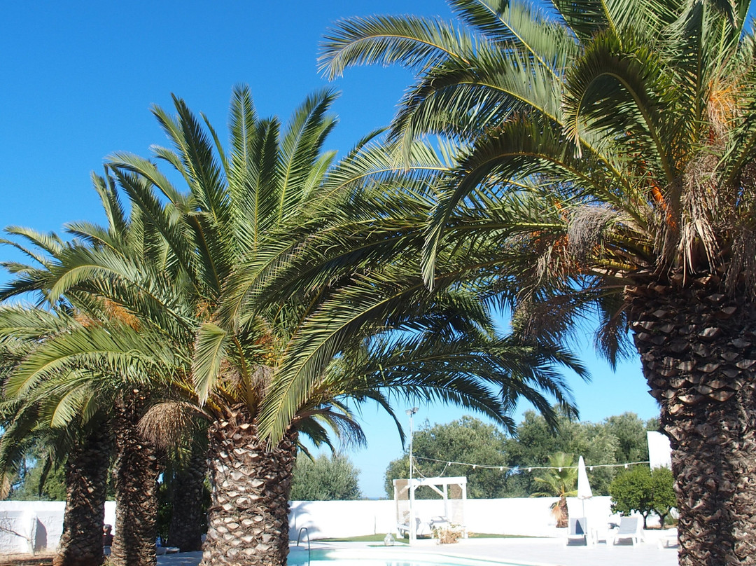 Masseria Rienzo主图