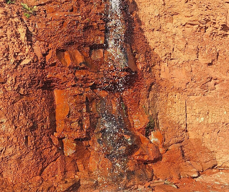 Argyle Shore Provincial Park-Bonshaw必去景点