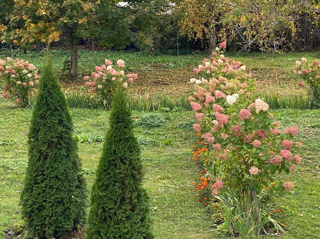 Chruch of Presentation of Mary-Vyazma必去景点
