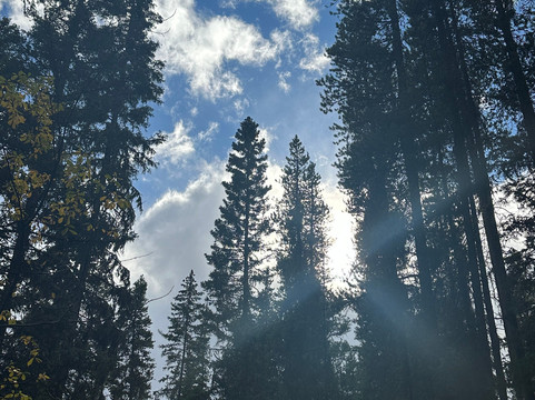 Jupiter Legend Corporation-卡尔加里必去景点