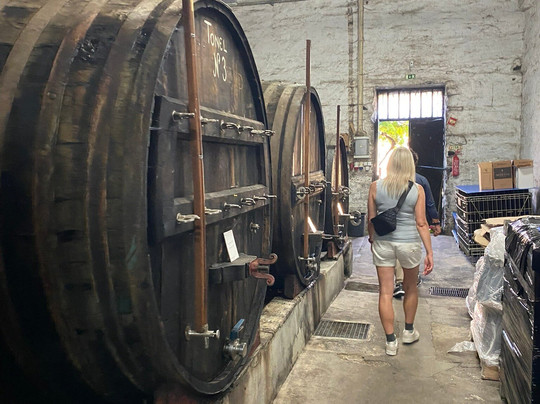 Oporto Sensations Tour-波尔图必去景点