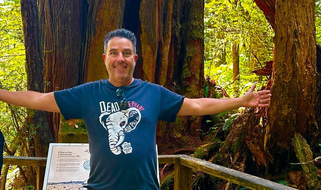 Rainforest Trail-托菲诺必去景点