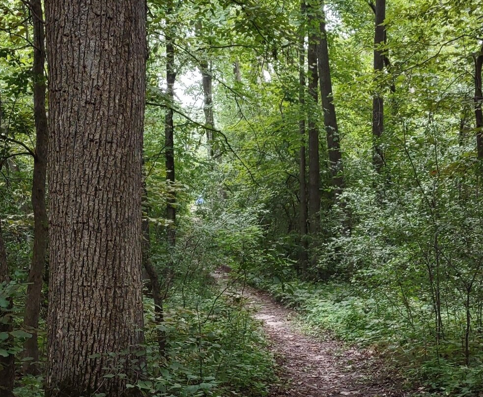 Lake Maria State Park-Monticello必去景点