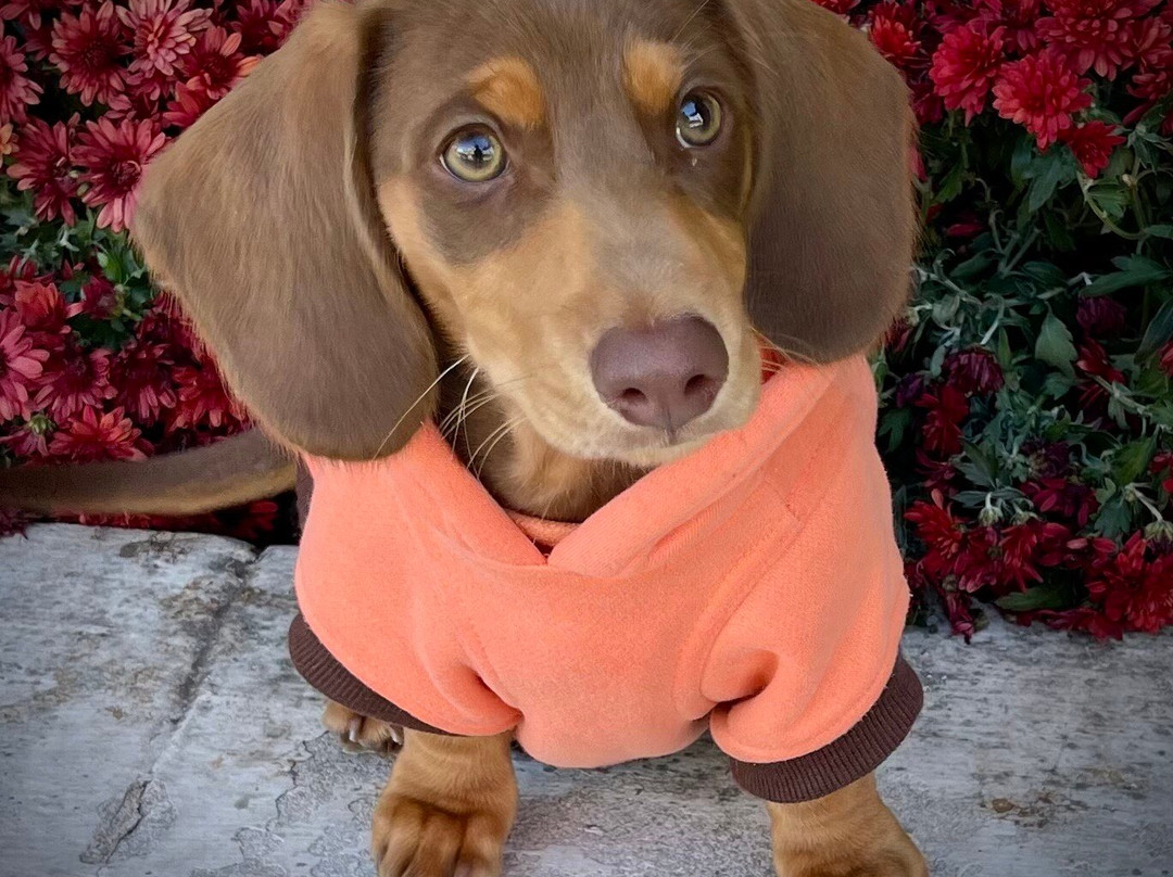 Bark Harbor-巴港必去景点