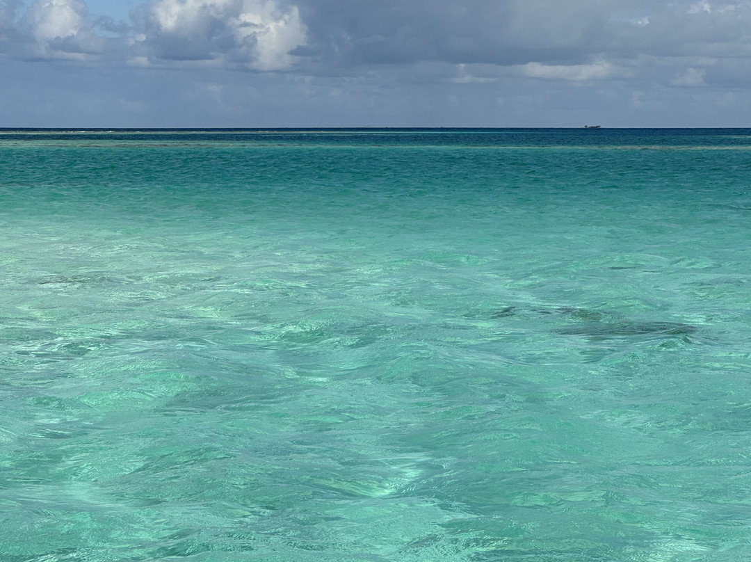 Rotoava Excursions-Fakarava必去景点