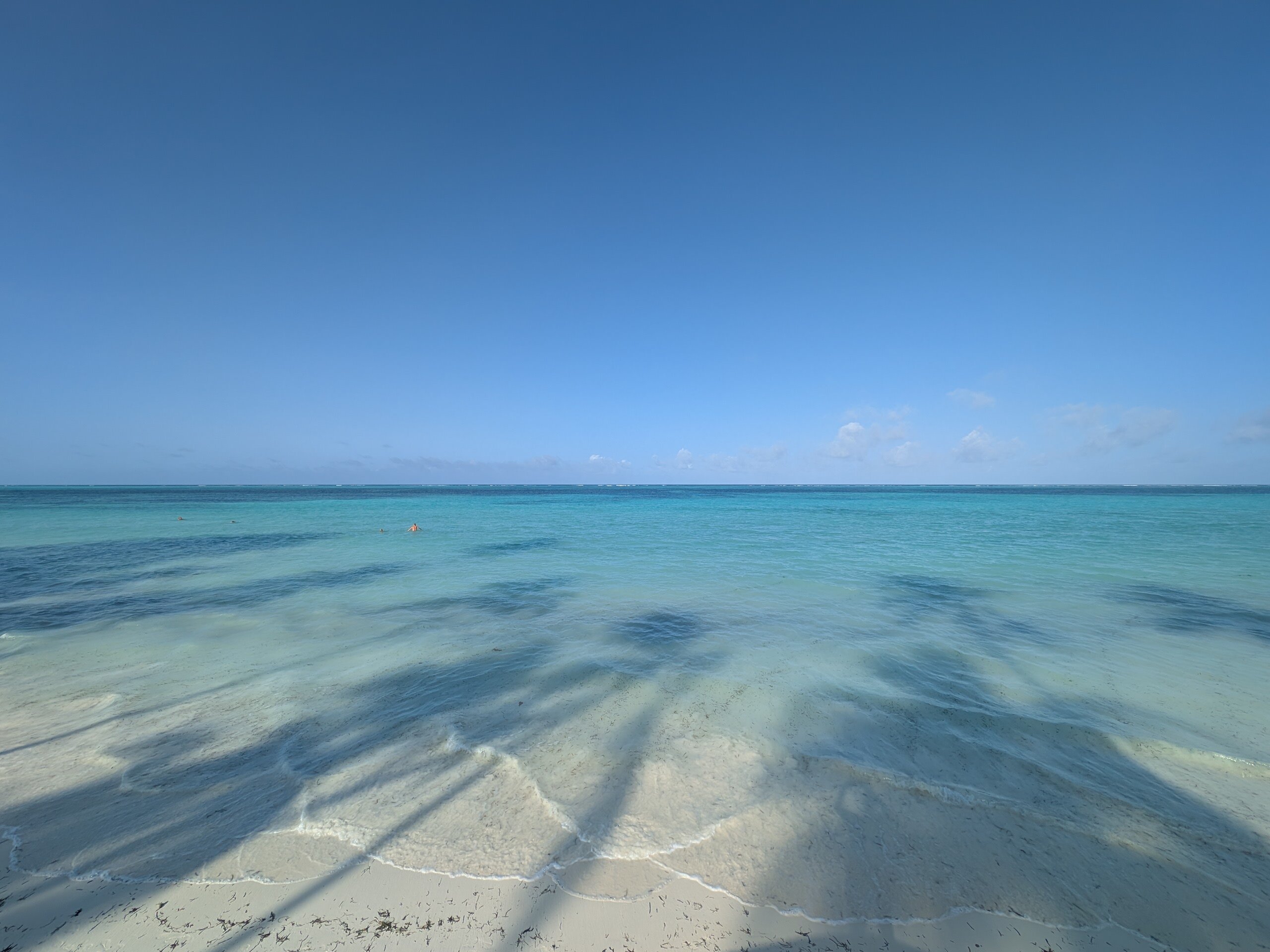 TUI BLUE Bahari Zanzibar-泳池