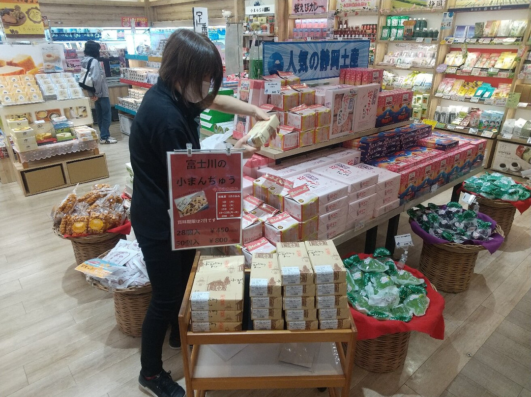 富士川服务区 下行线-富士市必去景点