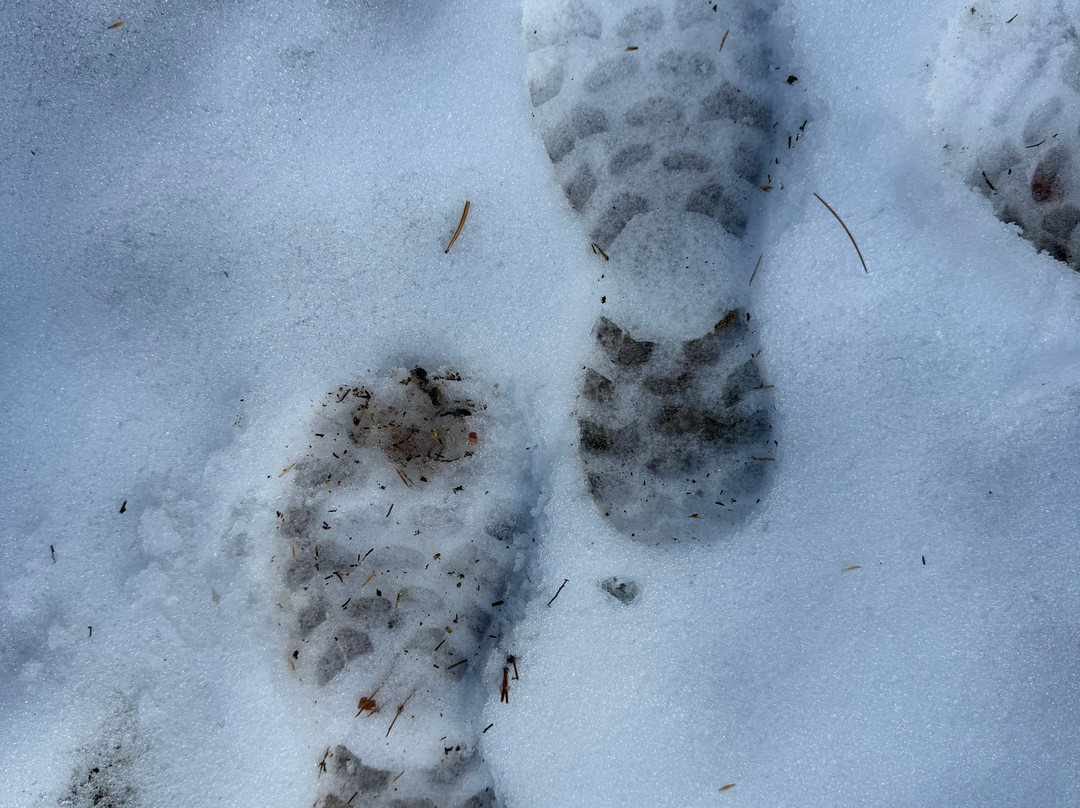 Footpaths of the World - Day Tours-埃斯蒂斯公园必去景点