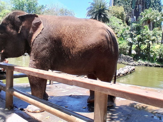 WOLO Travel-乌布必去景点