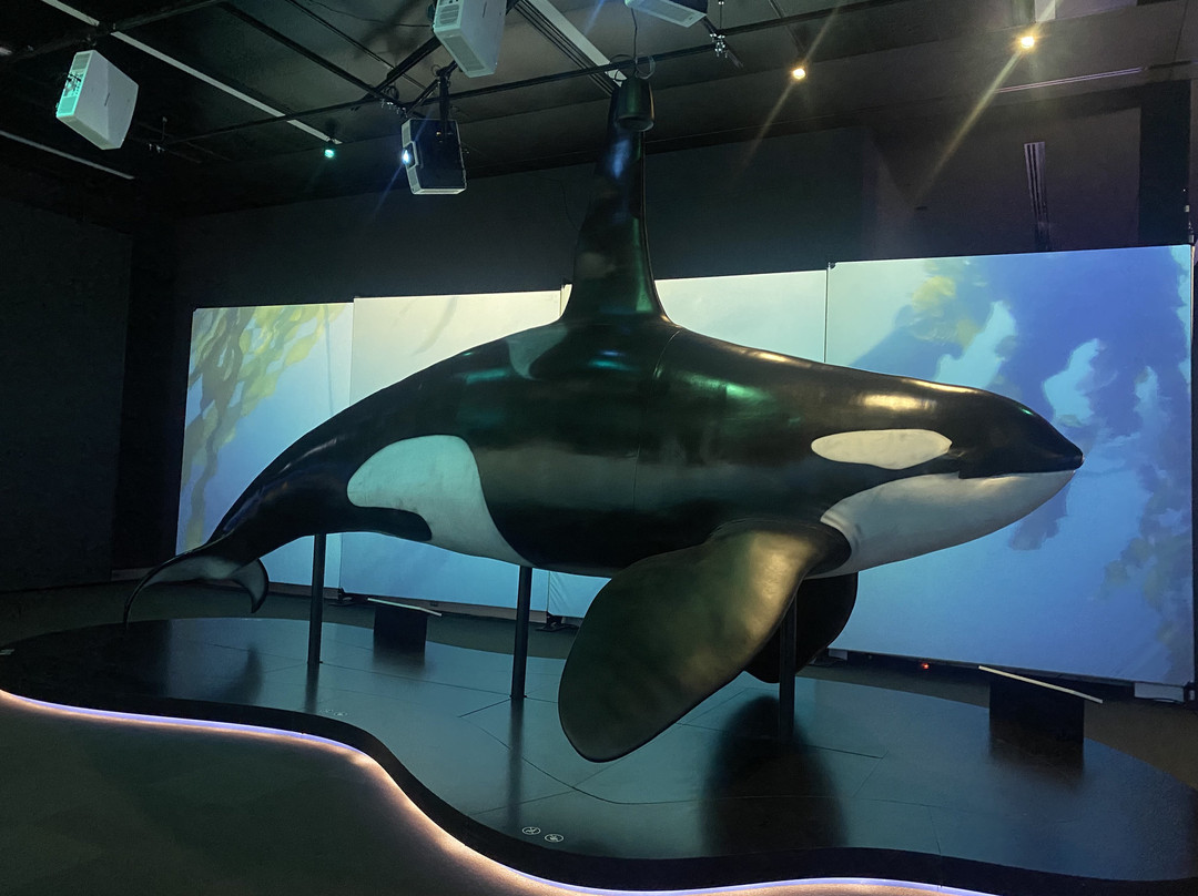 艾伯塔皇家博物馆-埃德蒙顿必去景点