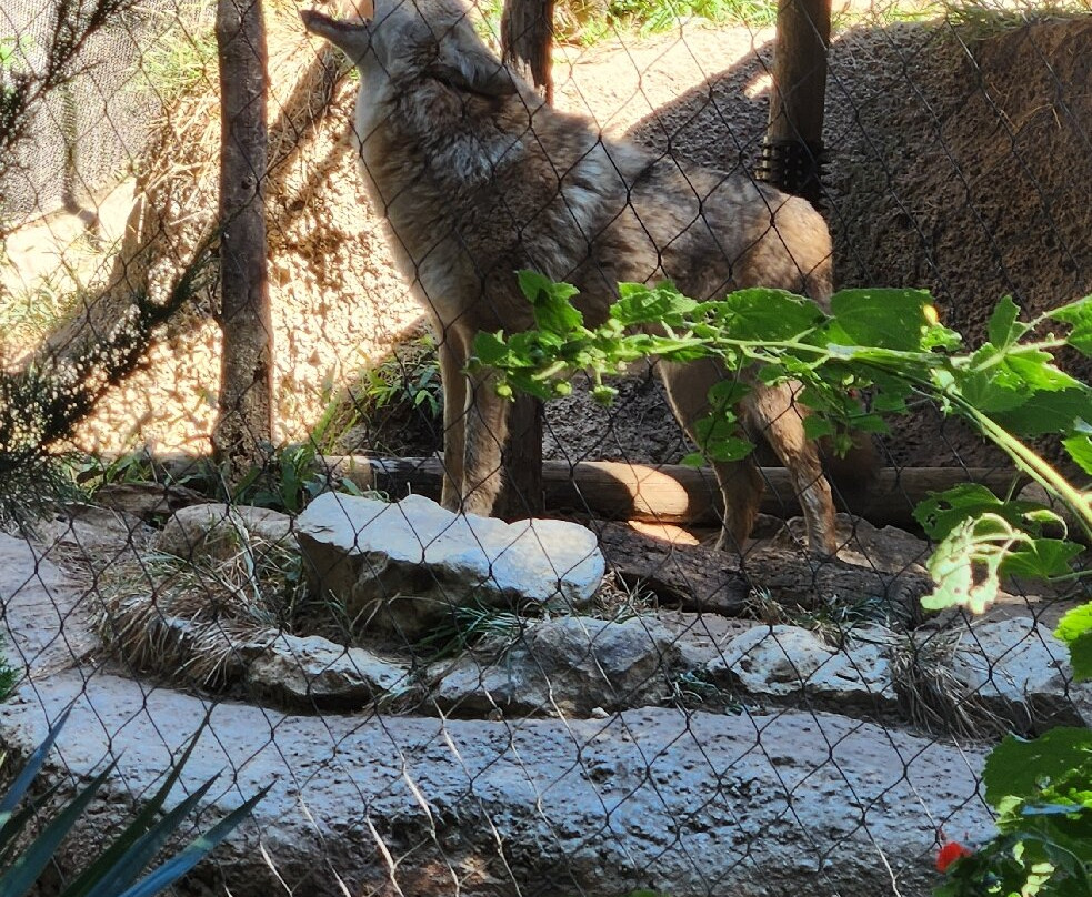 Fort Worth Zoo-沃思堡必去景点