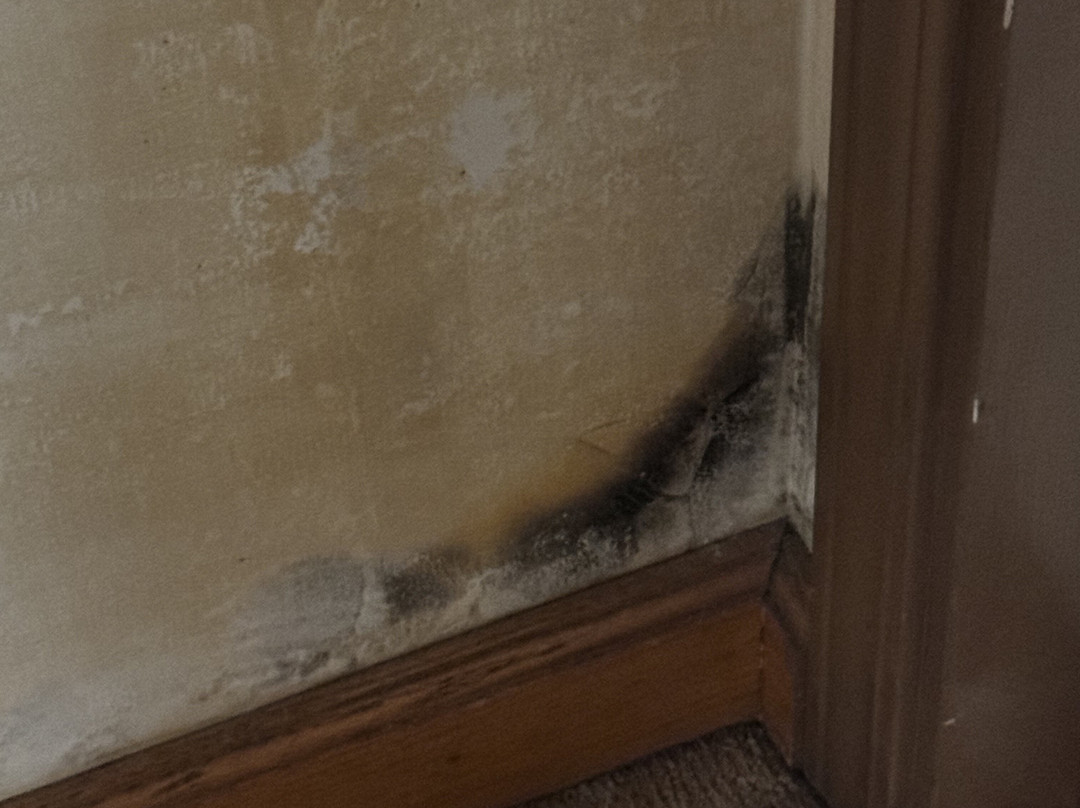 Baymont by Wyndham Indianapolis Northeast主图