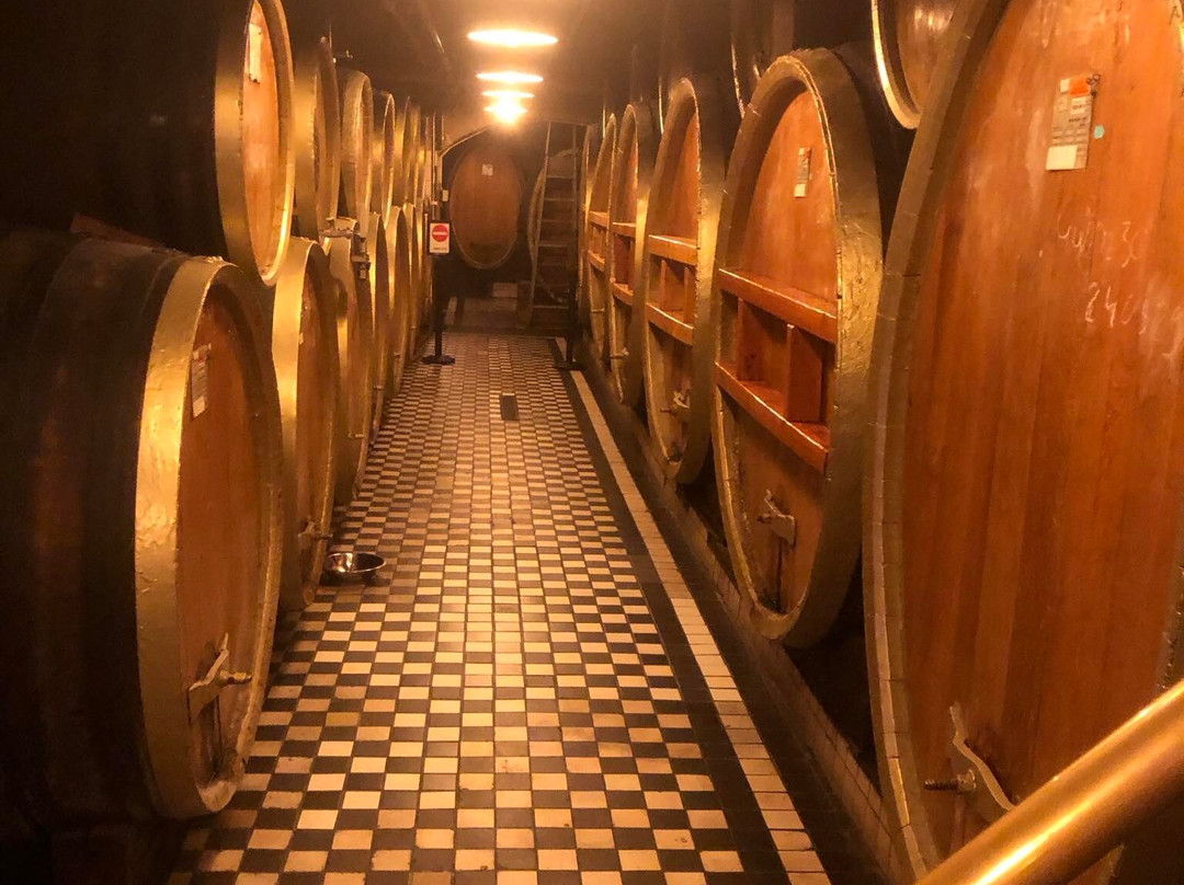 House of Unicum (Unicum Haz)-布达佩斯必去景点