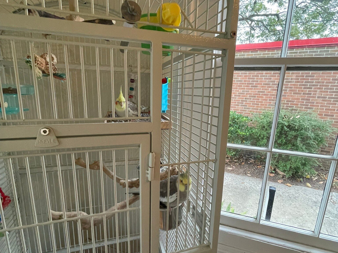 The Aerie Bed & Breakfast主图