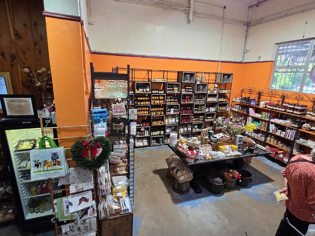 The Treat Factory-Berry必去景点