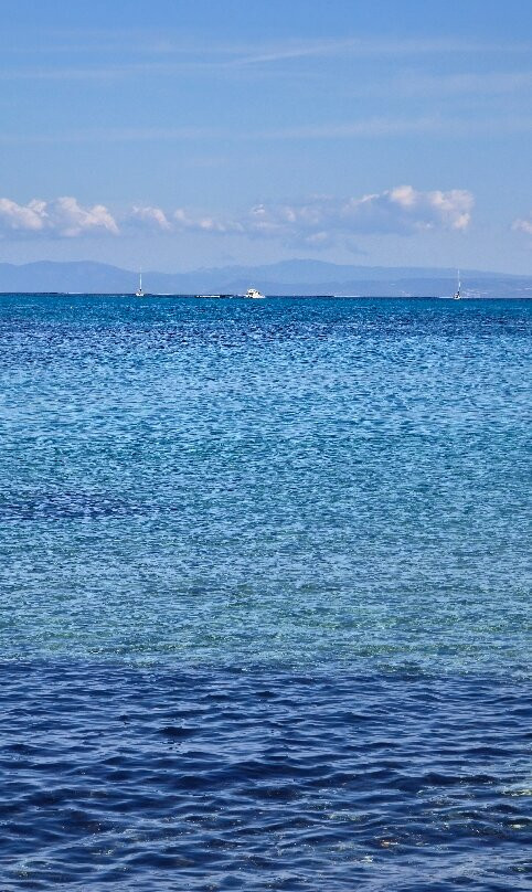 Spiaggia dell'Isola dei Gabbiani (Isuledda)-帕劳必去景点