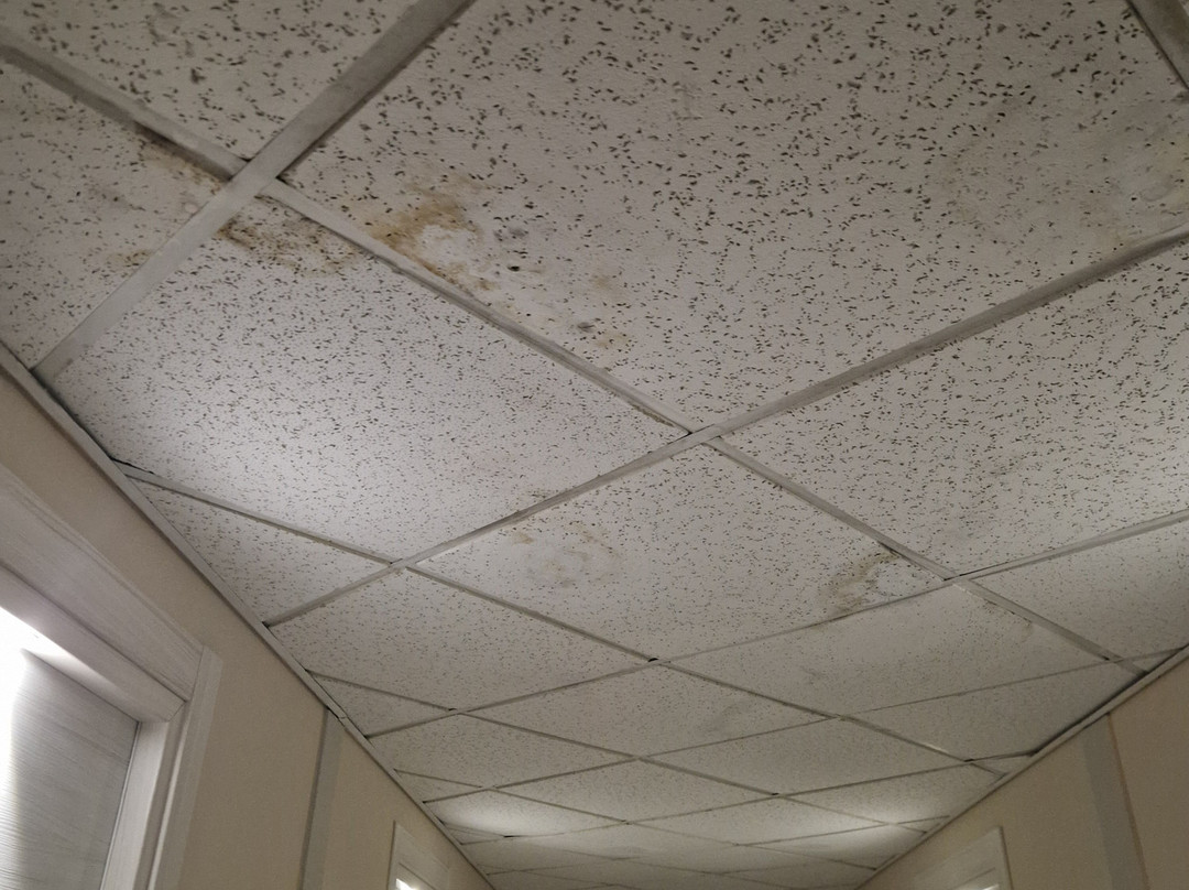 Carlton Hotel Riviera主图