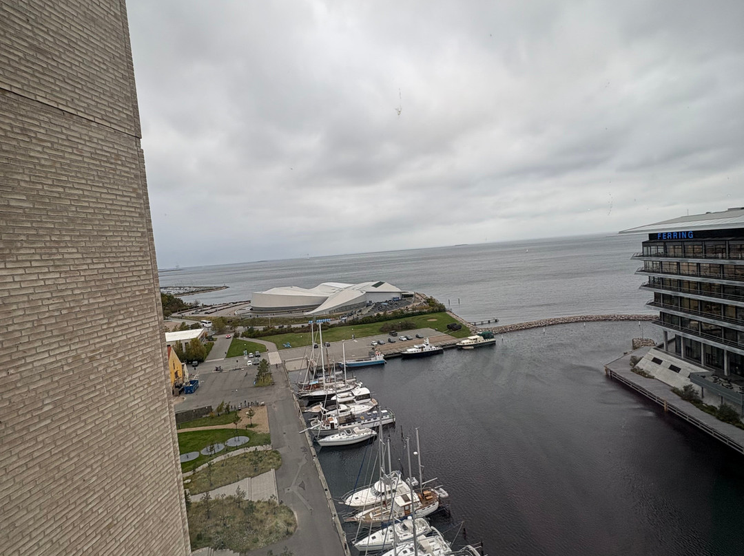 Scandic CPH Strandpark主图