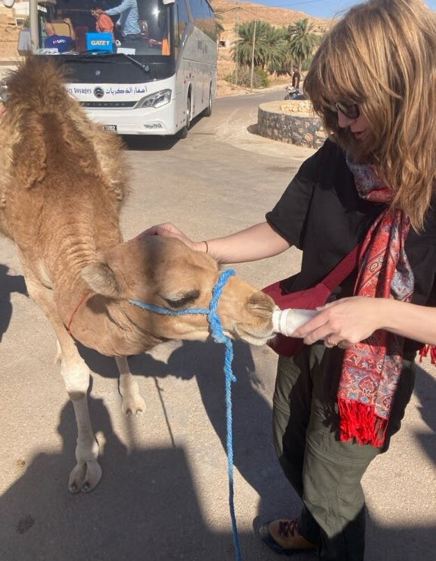 Caravane Du Sahara-Ghlissia必去景点