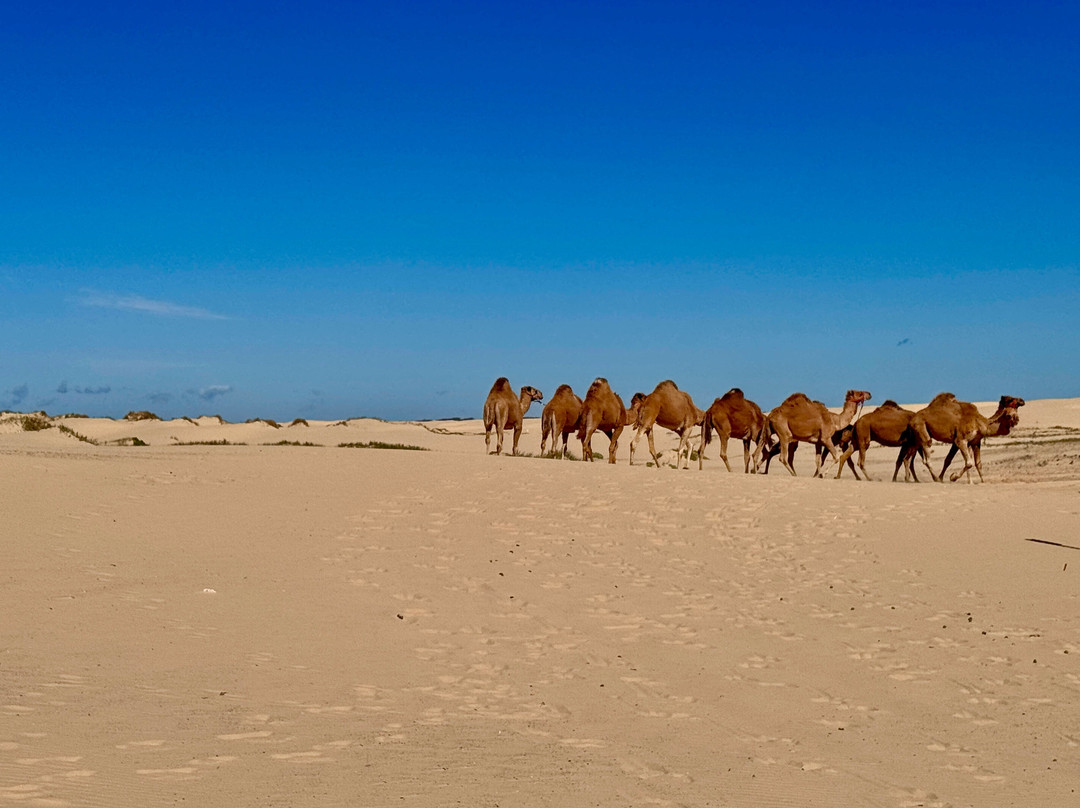 Oakfield Ranch-安娜湾必去景点