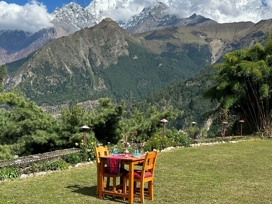 Shinta Mani Mustang主图