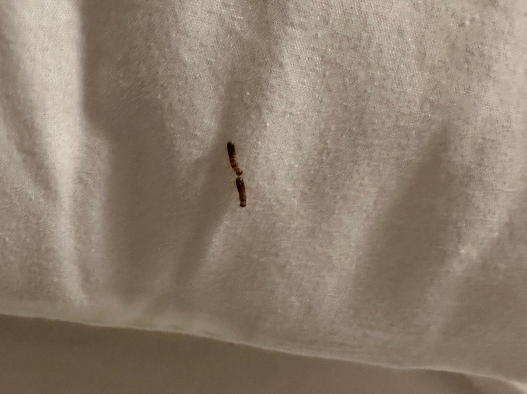 Waterside Suites & Marina主图