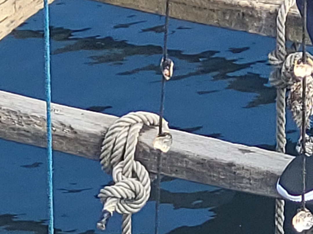 Cruceros do Ulla Turimares-格罗韦必去景点