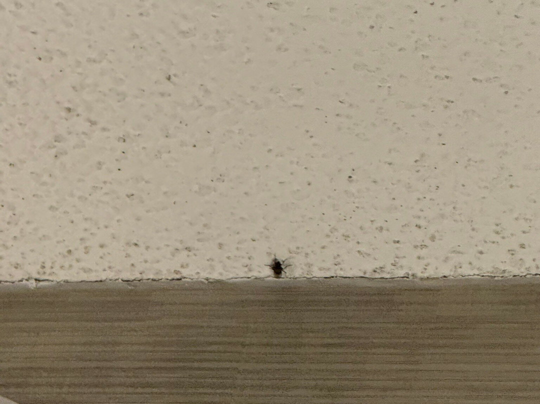 The Westin Southfield Detroit主图