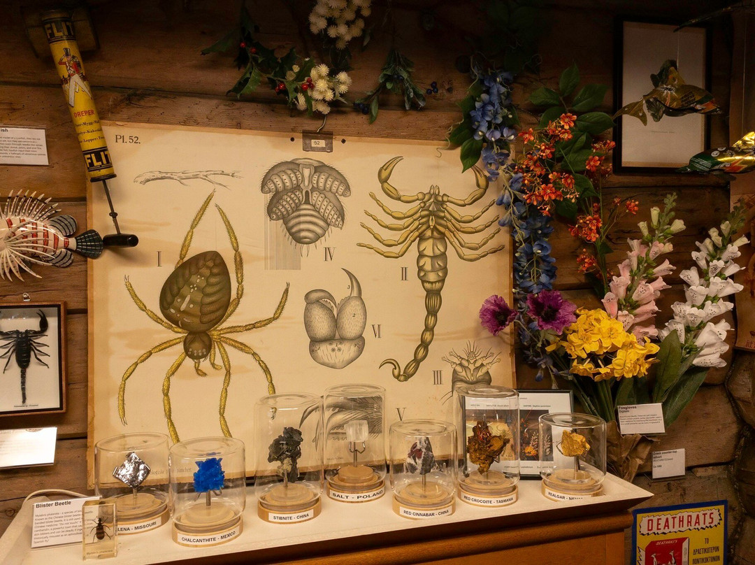 Museum of Poison-卑尔根必去景点