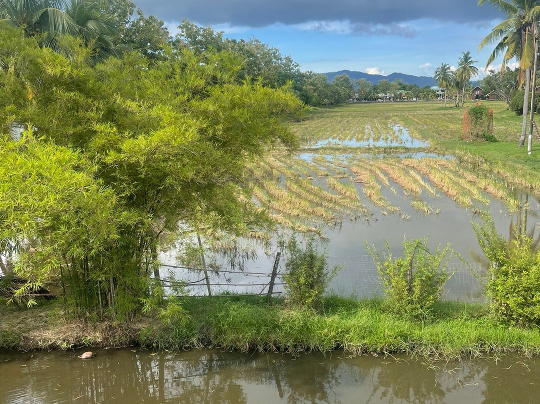 Nawa Sari Spa-兰卡威必去景点