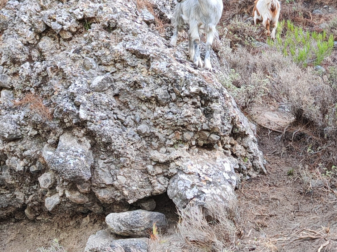 Safari Fun-Ierapetra必去景点