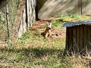 Oglebay Good Zoo-Wheeling必去景点