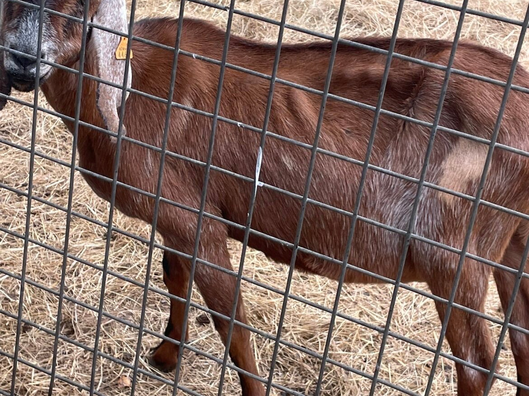 Parc du Touron-Campsegret必去景点