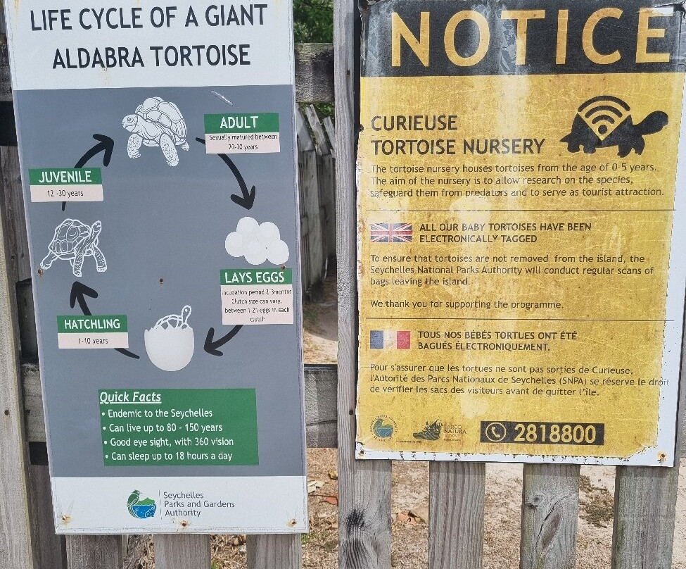 Loyalty Boat Charter-Baie Ste Anne必去景点