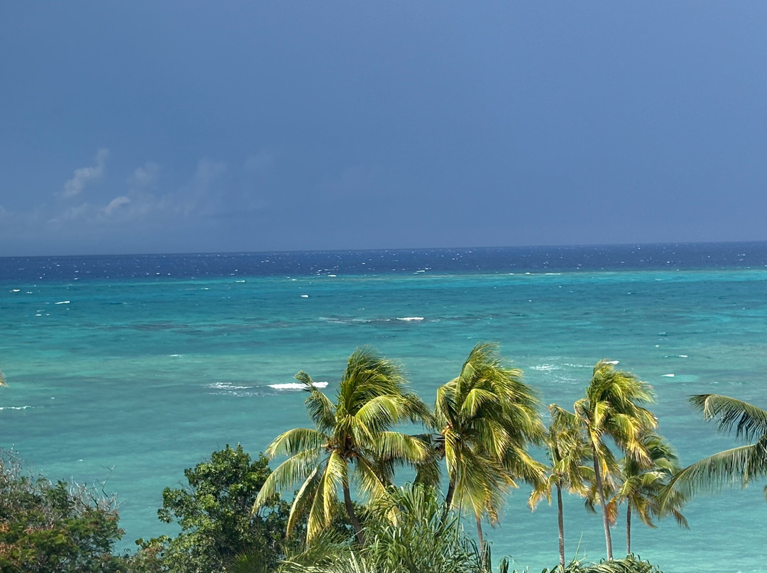 Brisas Guardalavaca主图