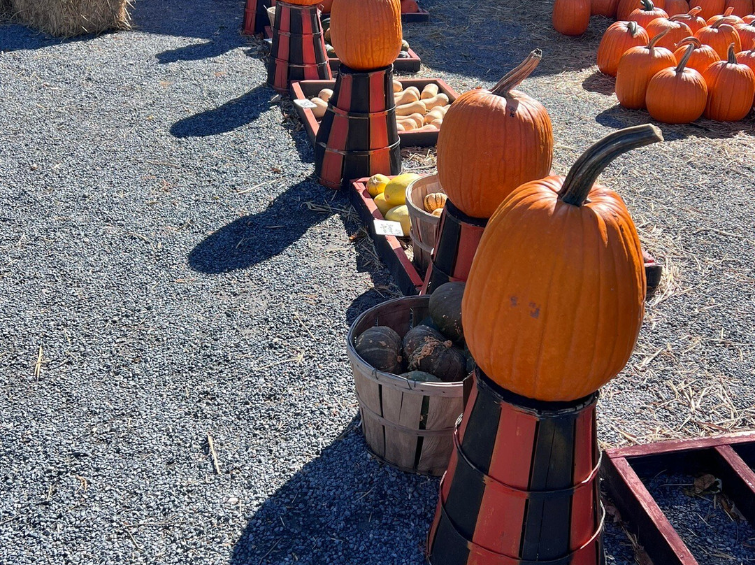 Marshall's Farm Market-Delaware必去景点